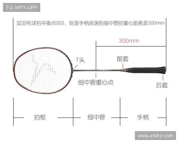 西安羽毛球队区域防守策略解析与深度剖析