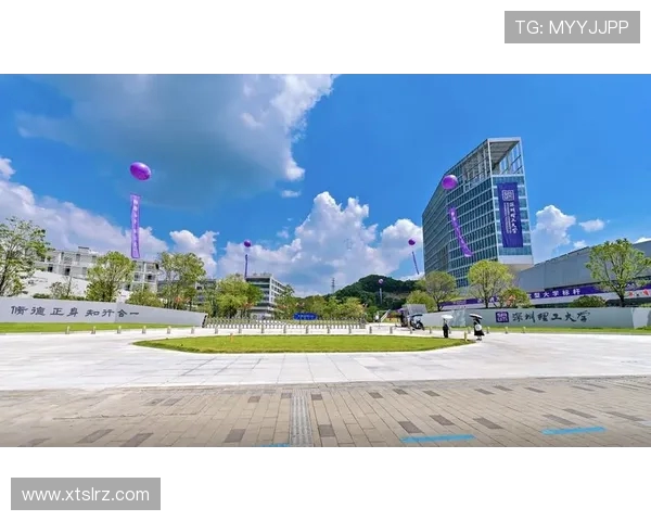 上海滑板队区域防守创新之路探秘与实践分享