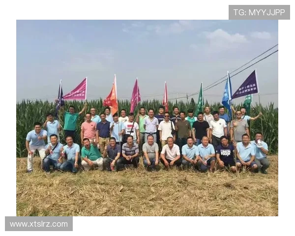 武汉羽毛球队重塑辉煌之路的反击与创新之旅