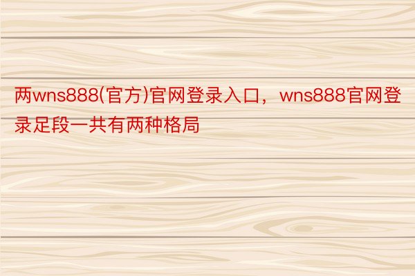 两wns888(官方)官网登录入口，wns888官网登录足段一共有两种格局