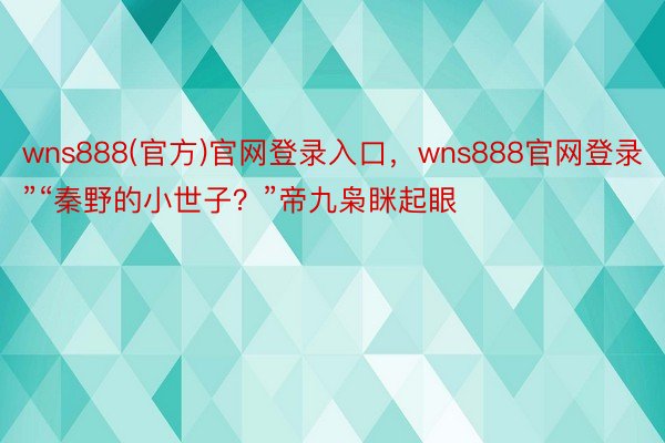 wns888(官方)官网登录入口，wns888官网登录”“秦野的小世子？”帝九枭眯起眼