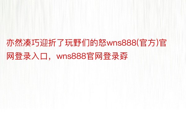 亦然凑巧迎折了玩野们的怒wns888(官方)官网登录入口，wns888官网登录孬