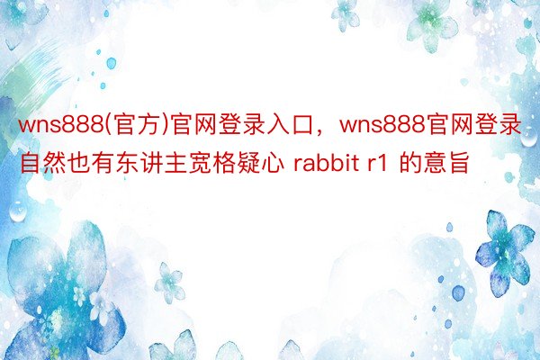 wns888(官方)官网登录入口，wns888官网登录自然也有东讲主宽格疑心 rabbit r1 的意旨