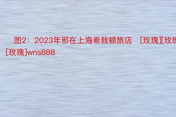 ​图2：2023年邪在上海希我顿旅店​[玫瑰][玫瑰][玫瑰]wns888