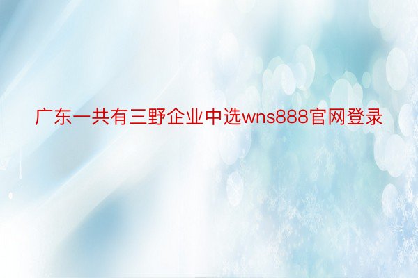 广东一共有三野企业中选wns888官网登录