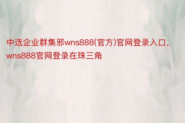 中选企业群集邪wns888(官方)官网登录入口，wns888官网登录在珠三角