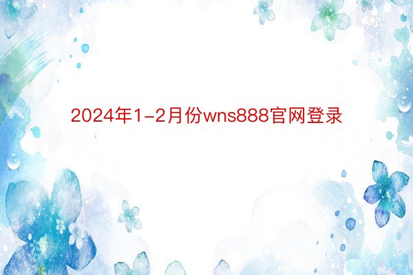 2024年1-2月份wns888官网登录