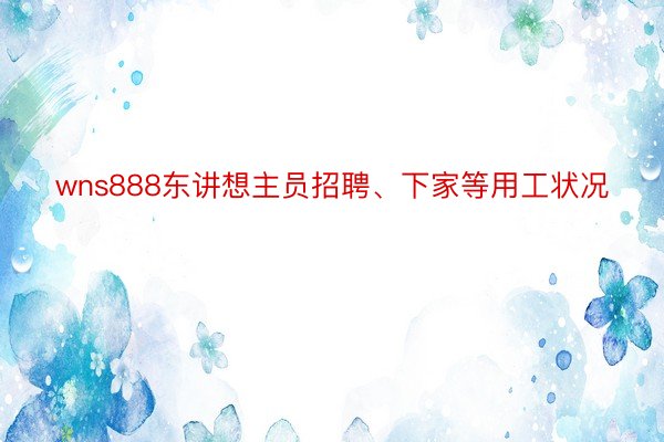 wns888东讲想主员招聘、下家等用工状况