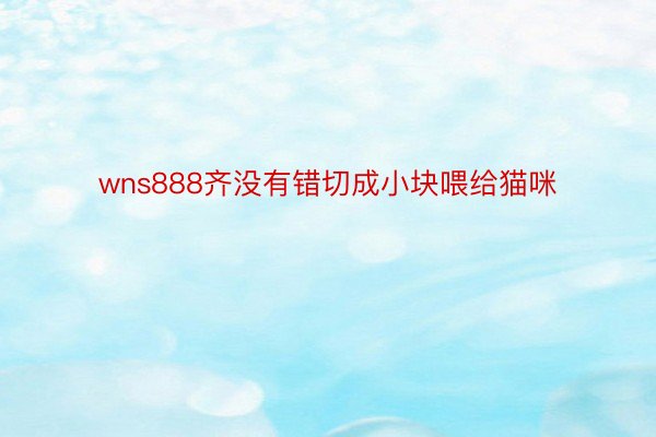 wns888齐没有错切成小块喂给猫咪